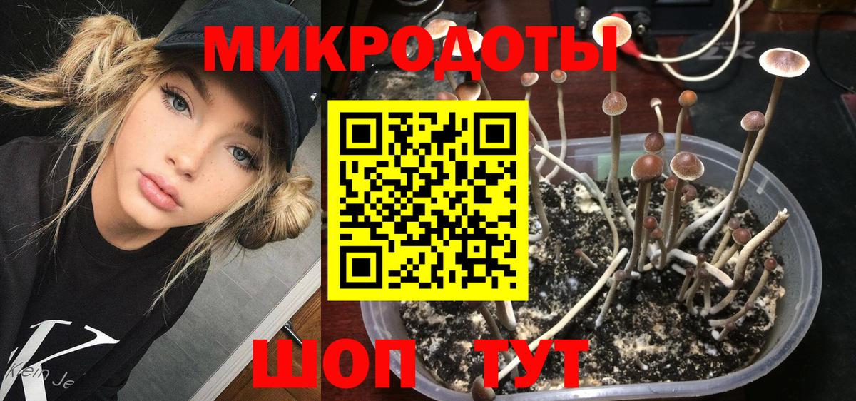 Галлюциногенные грибы мицелий  Вход с VPN  Галлюциногенные грибы Magic Shrooms  Тимашёвск 